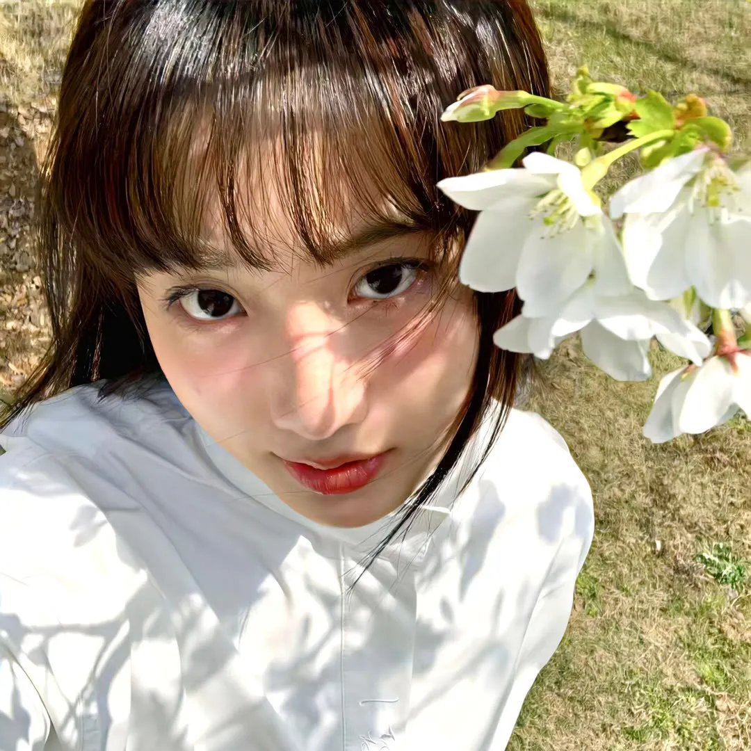森林